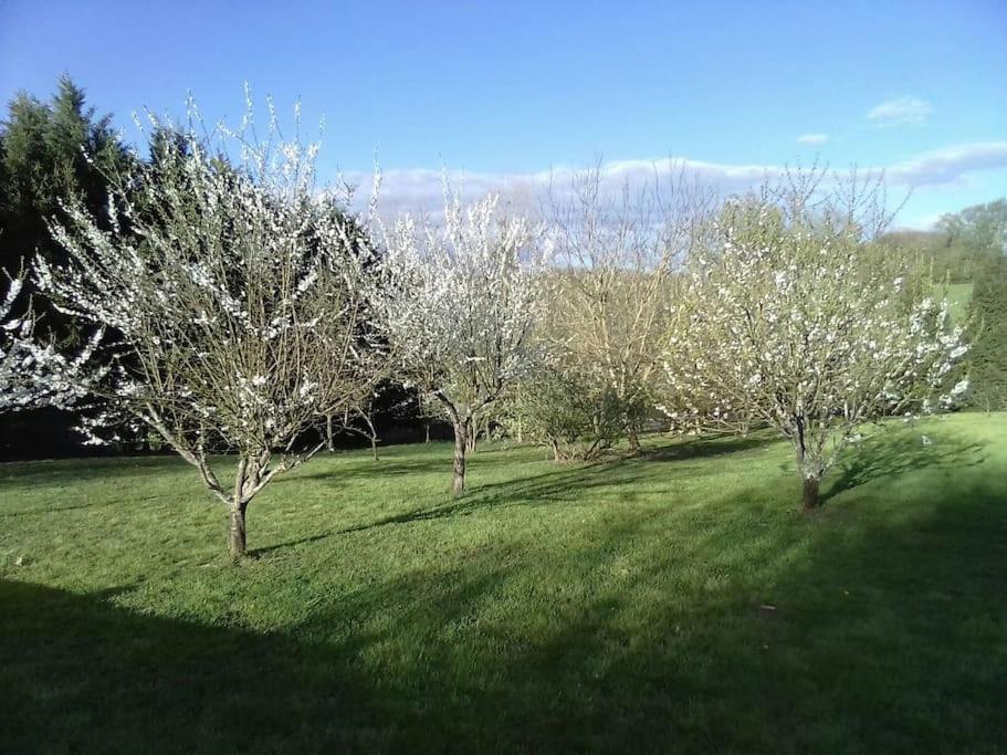 Villa Dependance Pour 1 A 4 Pers Au Calme Dans Propriete à Marboz Extérieur photo