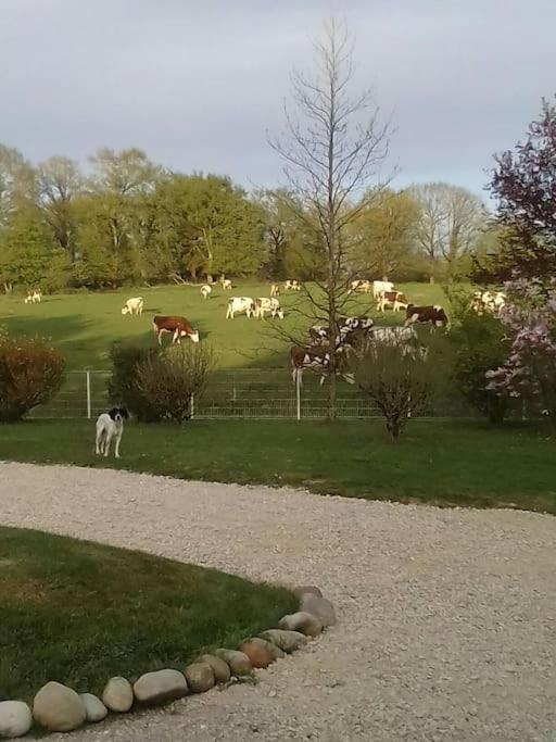 Villa Dependance Pour 1 A 4 Pers Au Calme Dans Propriete à Marboz Extérieur photo