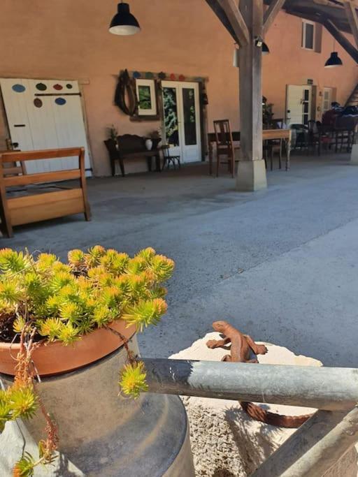 Villa Dependance Pour 1 A 4 Pers Au Calme Dans Propriete à Marboz Extérieur photo